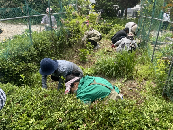 서울시의 시민정원사 교육과정에 참여한 교육생들이 식물 관리 및 미니정원 꾸미기 실습을 진행하고 있는 모습. 사진=서울시